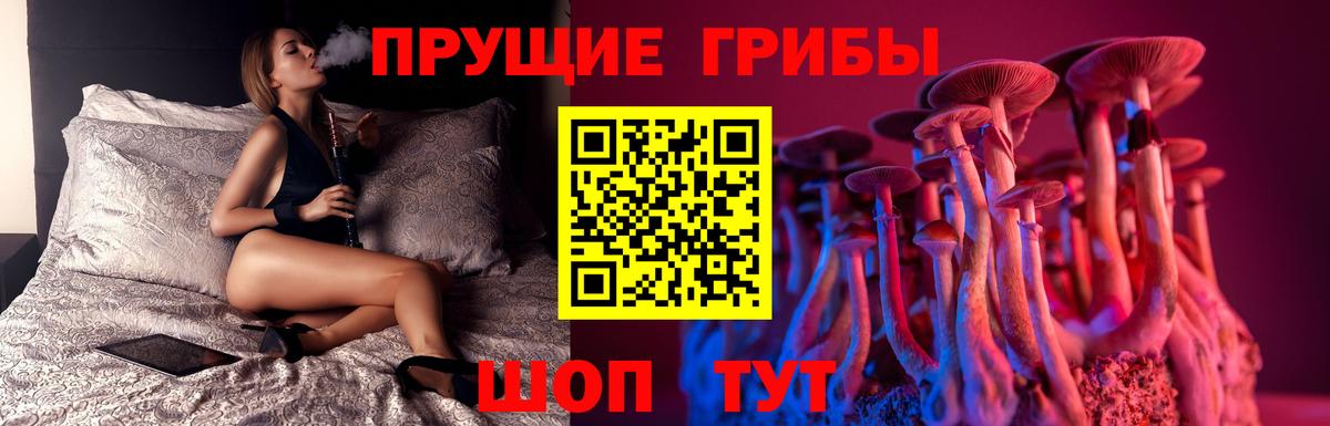Владимир  Псилоцибиновые грибы мухоморы  Вход с VPN 